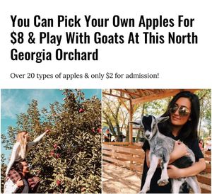 Image post by @narcityusa on Instagram