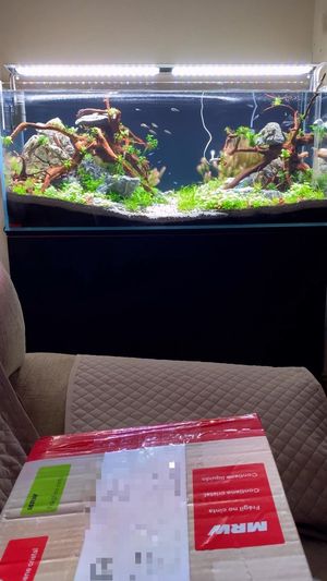 Video post by @aqualupi on Instagram