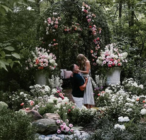 Image post by @br_betting on Twitter