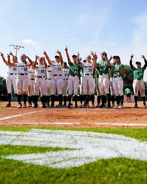 Image post by @meangreensb on Instagram