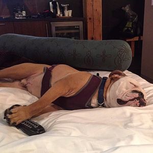 Image post by @theironhorsehotel on Instagram