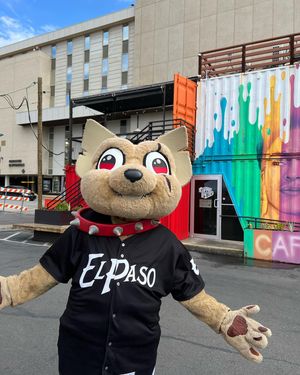 Image post by @chico_epchihuahuas on Instagram