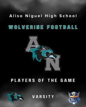 Image post by @aliso_football on Instagram