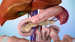 Video post by @nucleusmedicalmedia on YouTube