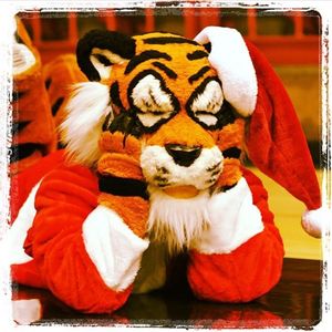 Image post by @pacifictigers on Instagram