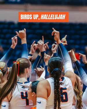Image post by @utsa_vb on Instagram