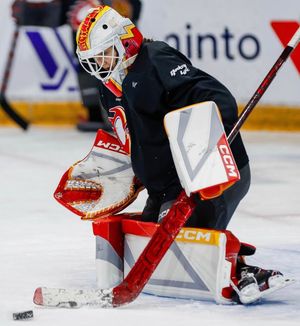 Image post by @goaliegearnerd on Instagram