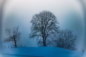 Image post by @cristan.nature.photography on Instagram