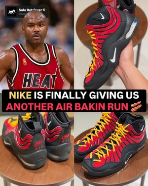 Image post by @soleretriever on Instagram