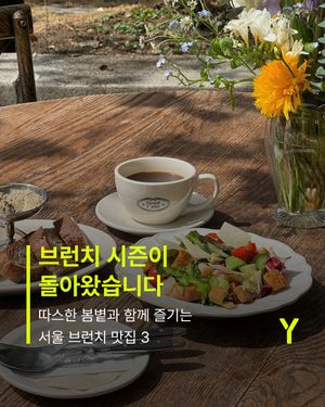 Image post by @ymagazine_official on Instagram