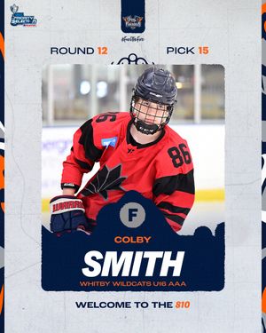 Image post by @flintfirebirds on Instagram
