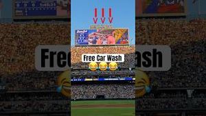 Video post by @thesavannahbananas on YouTube