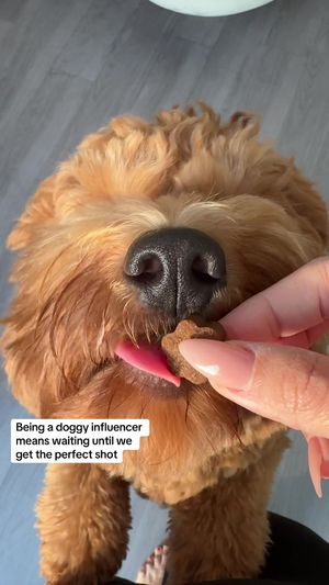 Video post by @tedflixnchill on TikTok