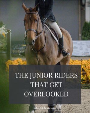 Image post by @theplaidhorsemag on Instagram