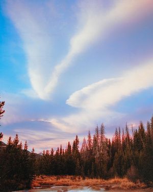Image post by @connorpickett on Instagram