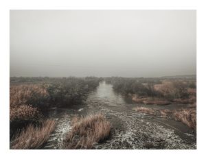 Image post by @leocouphoto on Instagram