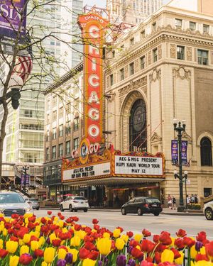 Image post by @matt.jwood on Instagram