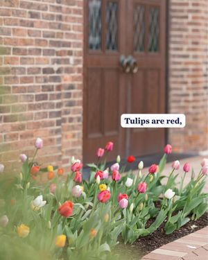 Image post by @universityofdaytonalumni on Instagram