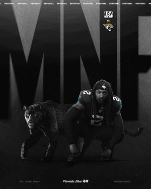 Image post by @jaguars on Instagram