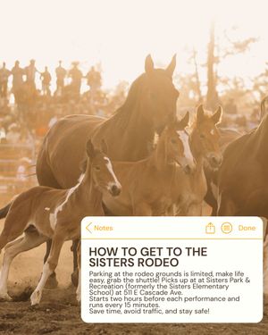 Image post by @sistersrodeo on Instagram