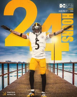 Image post by @steelers on Instagram