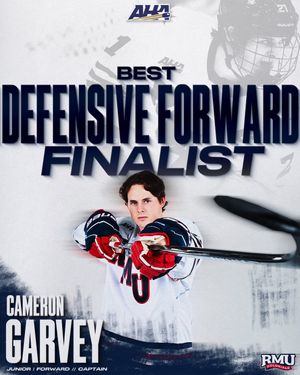 Image post by @rmumhockey on Instagram