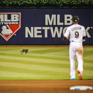 Image post by @marlins on Instagram