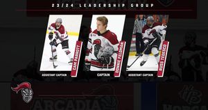 Image post by @arcadia_mih on Instagram