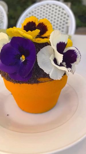 Video post by @lipsmackingfoodie on Instagram