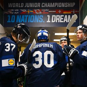 Image post by @leijonatfi on Instagram