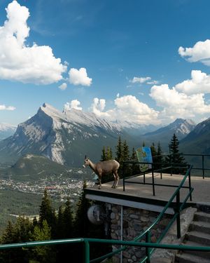 Image post by @mtnorquay on Instagram