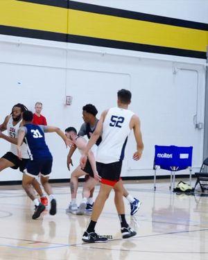 Image post by @liledball on Instagram