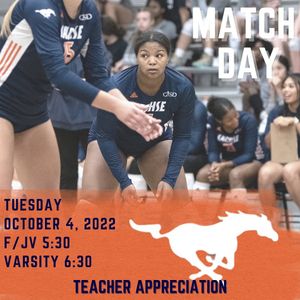 Image post by @sachsevolleyball on Instagram