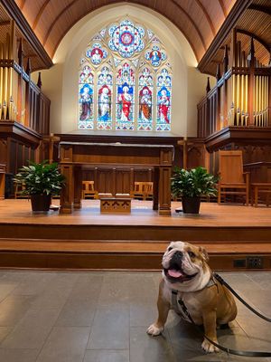 Image post by @GeorgetownJack on Twitter
