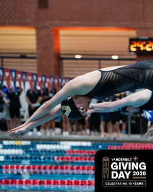 Image post by @vandyswimming on Instagram