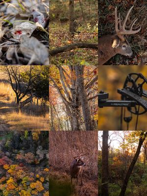 Image post by @realtreeoutdoors on Instagram