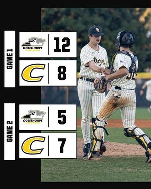 Image post by @GoPetrelsBSB on Twitter