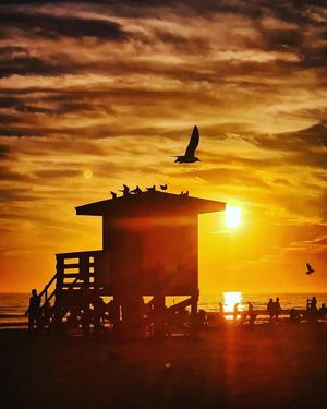 Image post by @visitsarasotacounty on Instagram