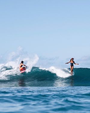 Image post by @surferleila on Instagram