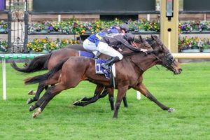 Image post by @flemingtonvrc on Instagram