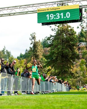 Image post by @oregontf on Instagram