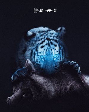Image post by @MemphisFB on Twitter