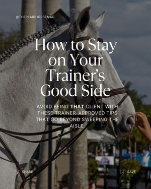 Image post by @theplaidhorsemag on Instagram