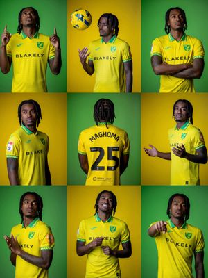 Video post by @norwichcityfc on TikTok