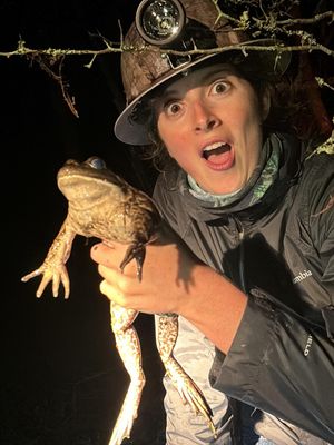 Image post by @annathearcher on Instagram