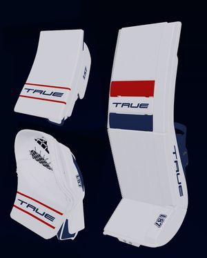 Image post by @truetempergoalie on Instagram