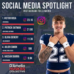 Image post by @dameliohuskies on Instagram