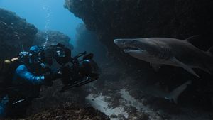 Image post by @reddigitalcinema on Instagram