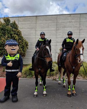 Image post by @victoriapolice on Instagram