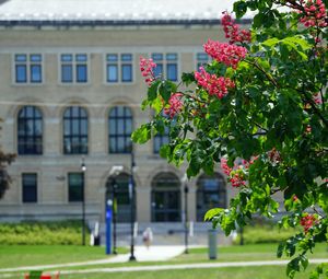 Image post by @umasslowell on Instagram